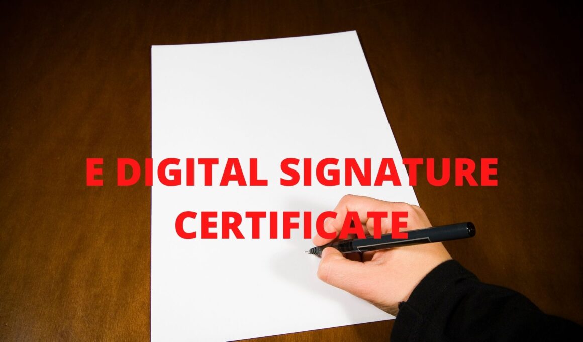 E DIGITAL SIGNATURE CERTIFICATE 2